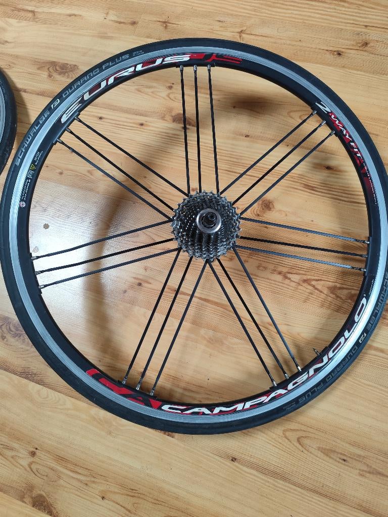 2-weg pasvorm, Ophalen of Verzenden, Zo goed als nieuw, Wiel, Campagnolo