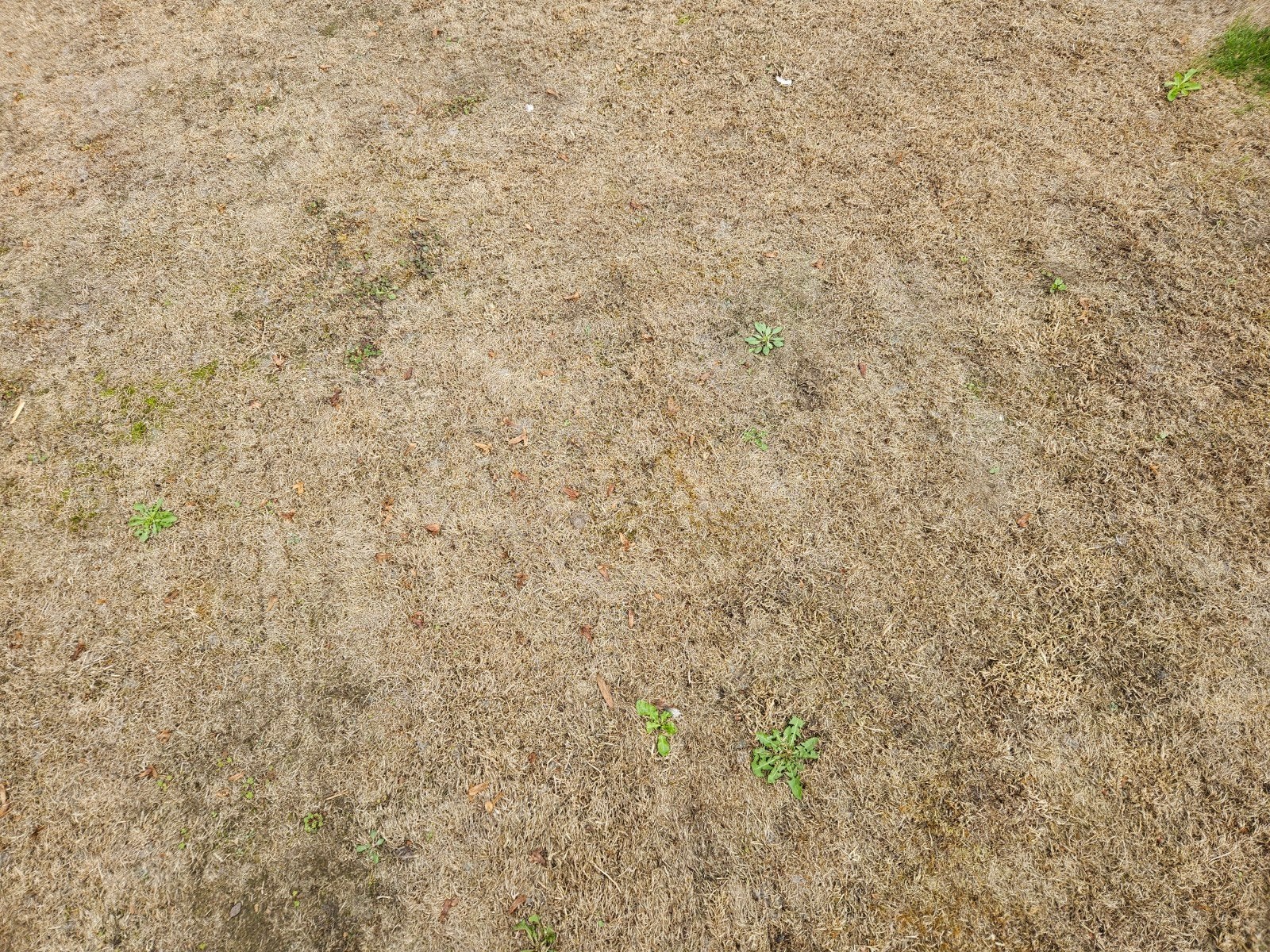 Gratis opvulgrond, Tuin en Terras, Ophalen, Gebruikt