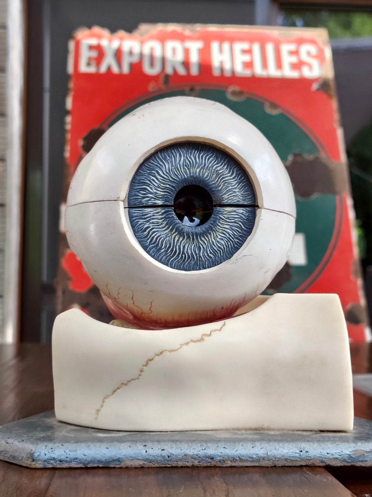 objet anatomique