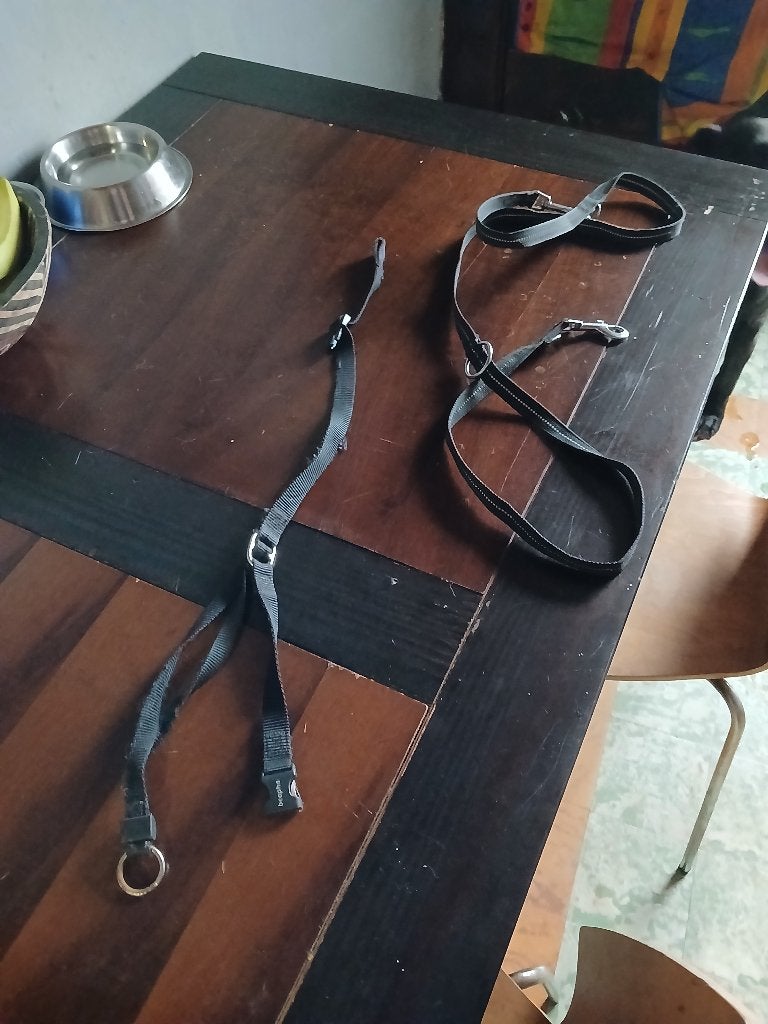 Honden leiband, Ophalen, Verlicht, Gebruikt