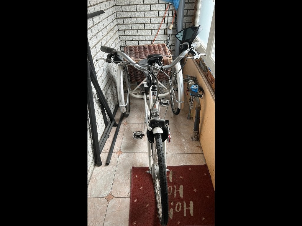 Electrische driewieler fiets met rieten mand, Fietsen en Brommers, Ophalen, Zo goed als nieuw