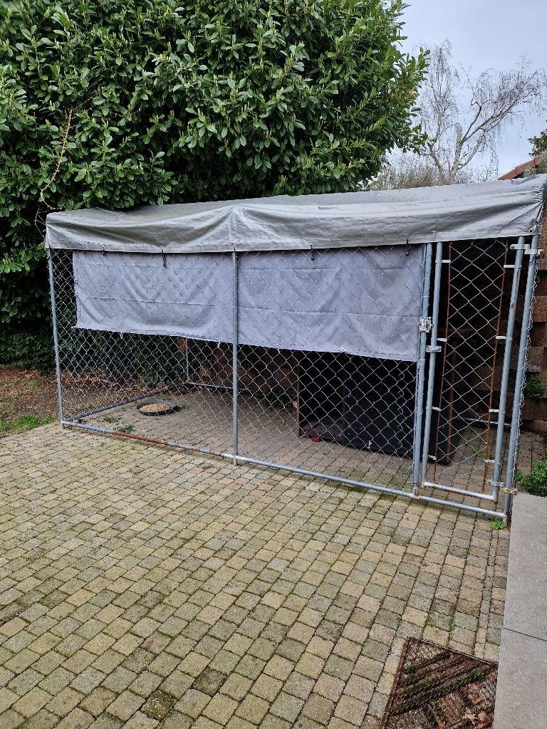 Hondenren., Ophalen, Hondenkennel, 100 cm of meer, 110 cm of meer