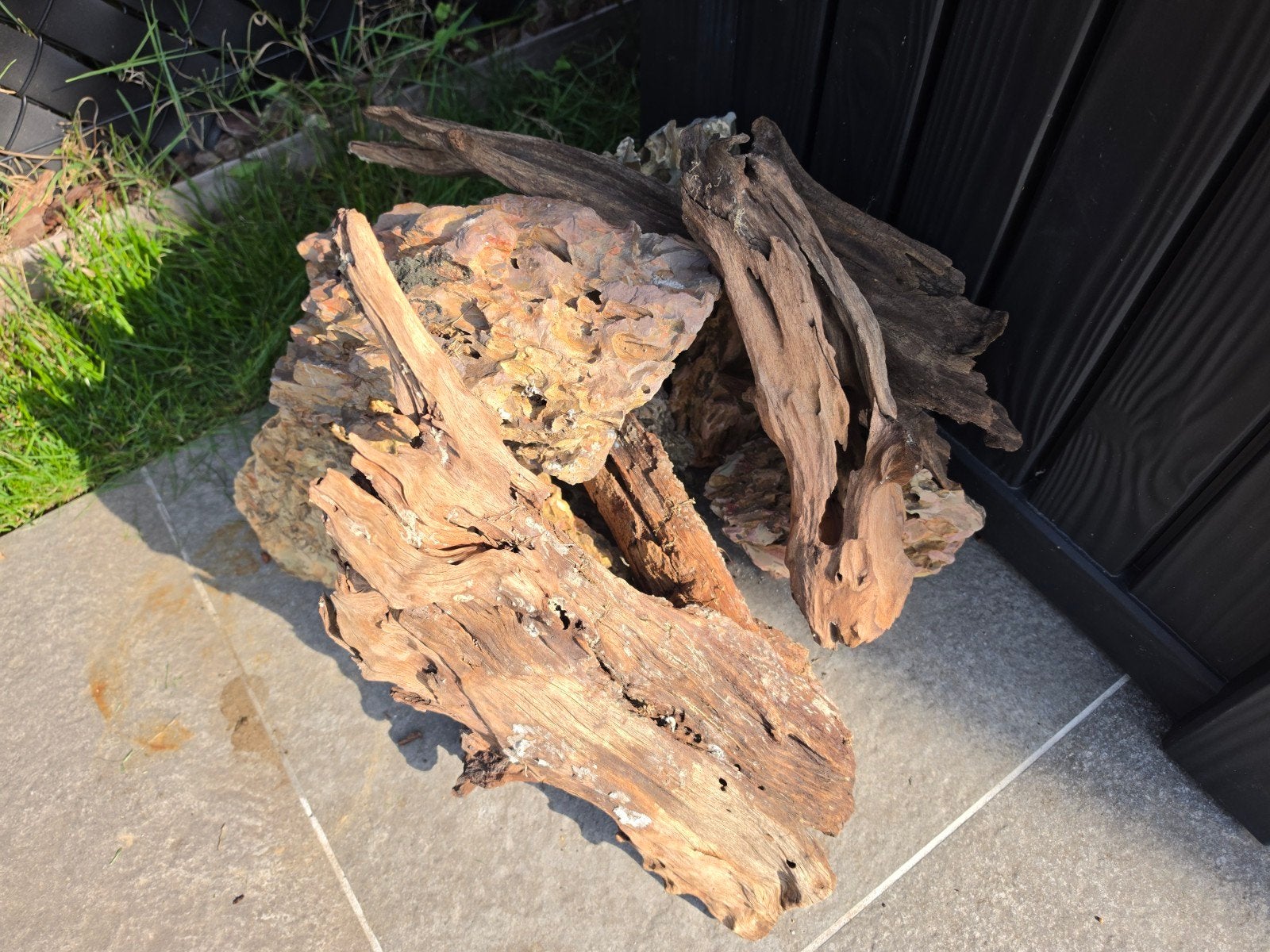 Pierres dragon stone et racines
