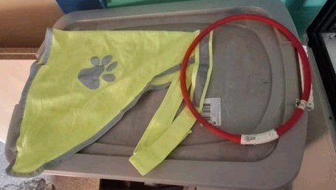 Hondenjas en lampje
Fluorescerende jasje
Lampje om op te lad, Overige merken, Ophalen of Verzenden, Gebruikt, Overige typen