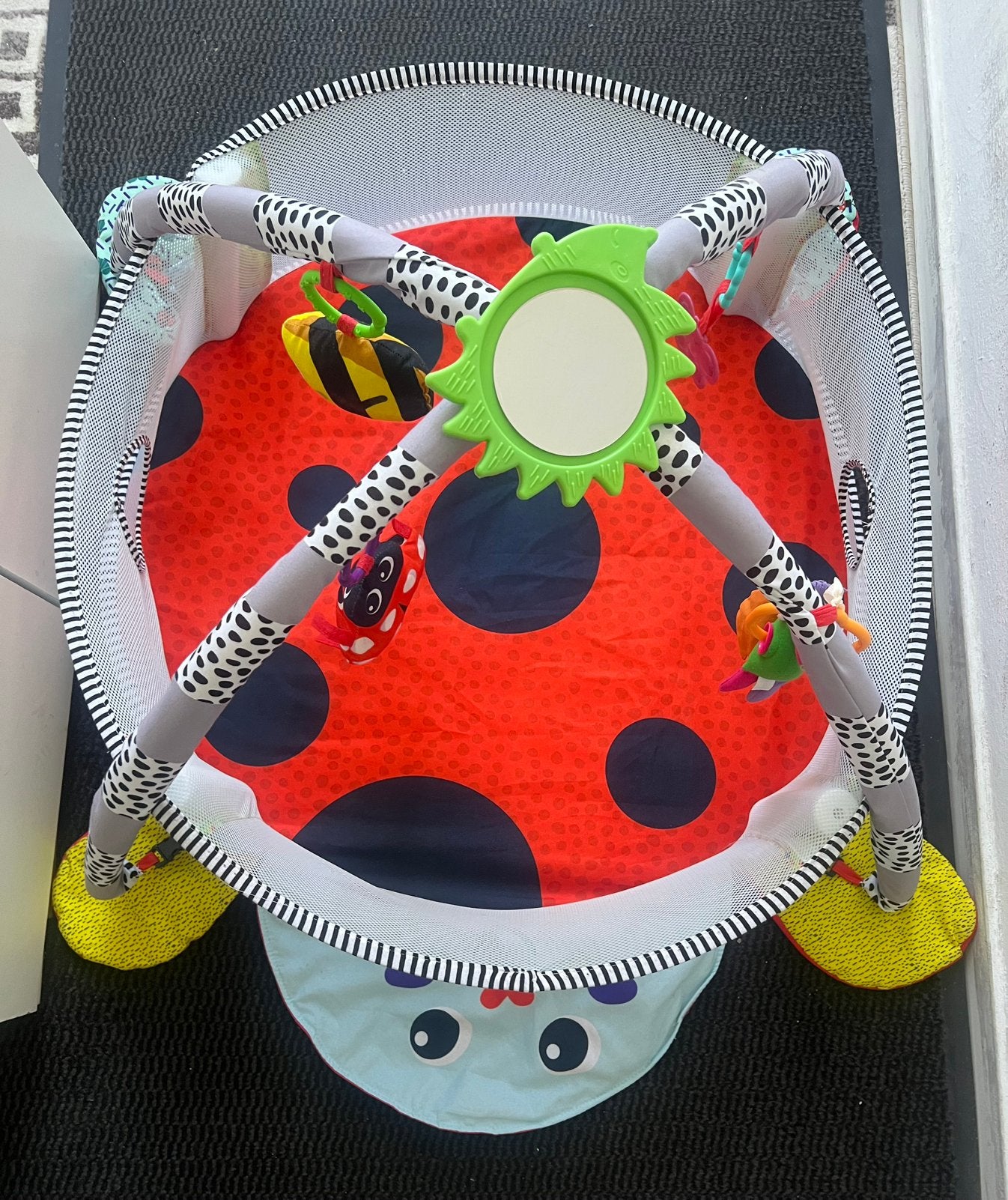 Baby speelmat en ballenbad bijeen, Enlèvement