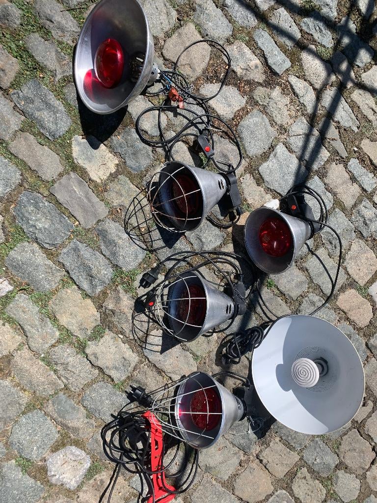 warmtelamp varkenslamp infrarood, Ophalen, Gebruikt