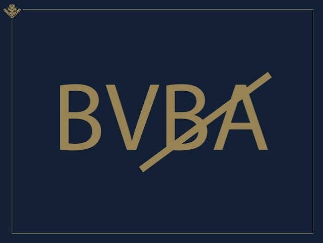 BV of NV verkopen, Services & Professionnels, Conseiller d'affaires & Intermédiaires, Conseils en affaires