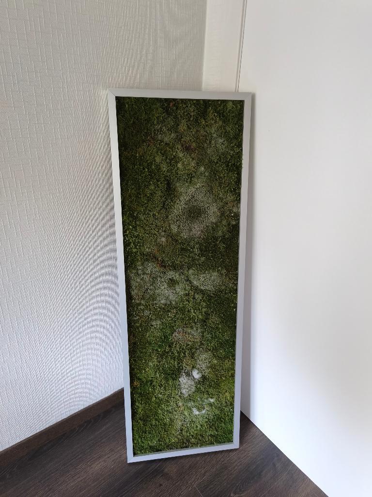 Mos schilderij / moss wall art – 121x40 cm, Huis en Inrichting, Woonaccessoires | Wanddecoraties, Gebruikt, Overige typen, Modern
