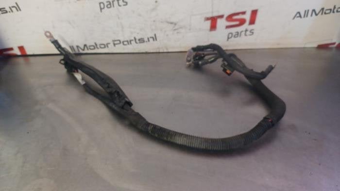 Faisceau de câbles d'un Audi RS5, -, 3 mois de garantie, Audi, Utilisé