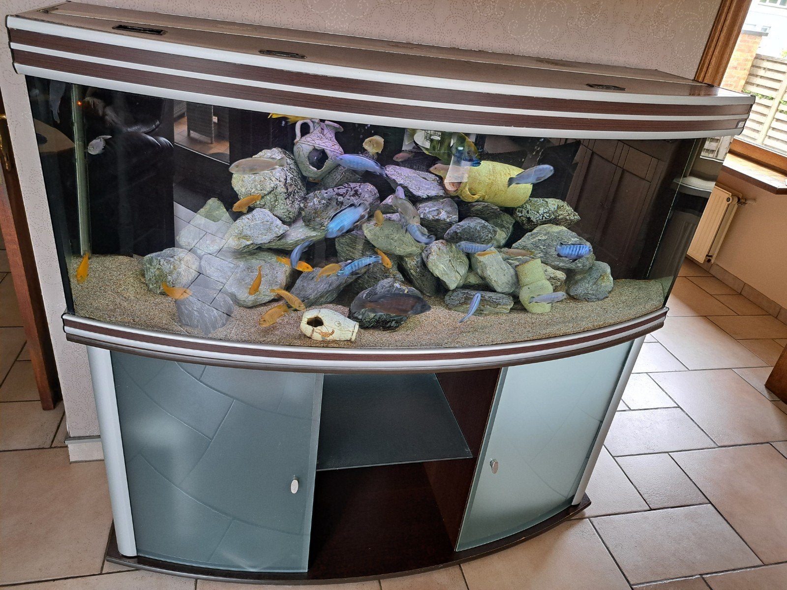 aquarium evasion aquatlantis, Dieren en Toebehoren, Ophalen, Aquatlantis