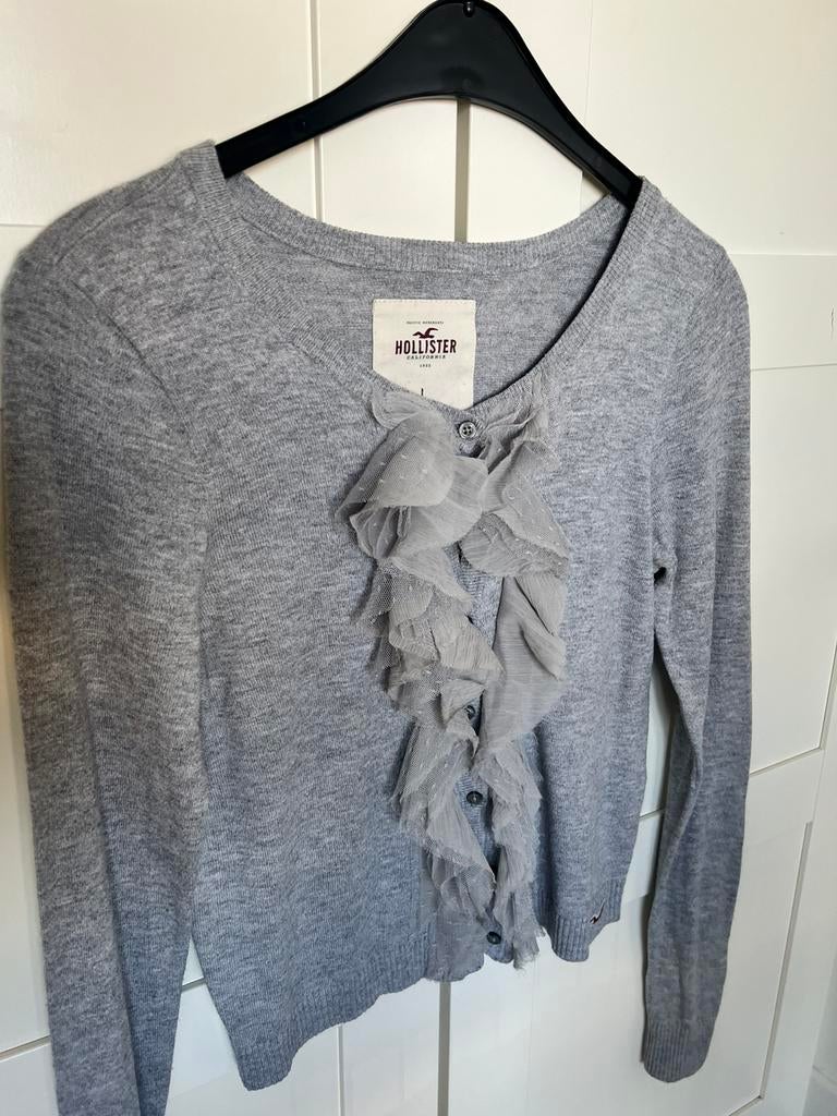 Hollister grijze vest met leuke details maat M/L, Ophalen of Verzenden, Gedragen, Maat 38/40 (M), Grijs