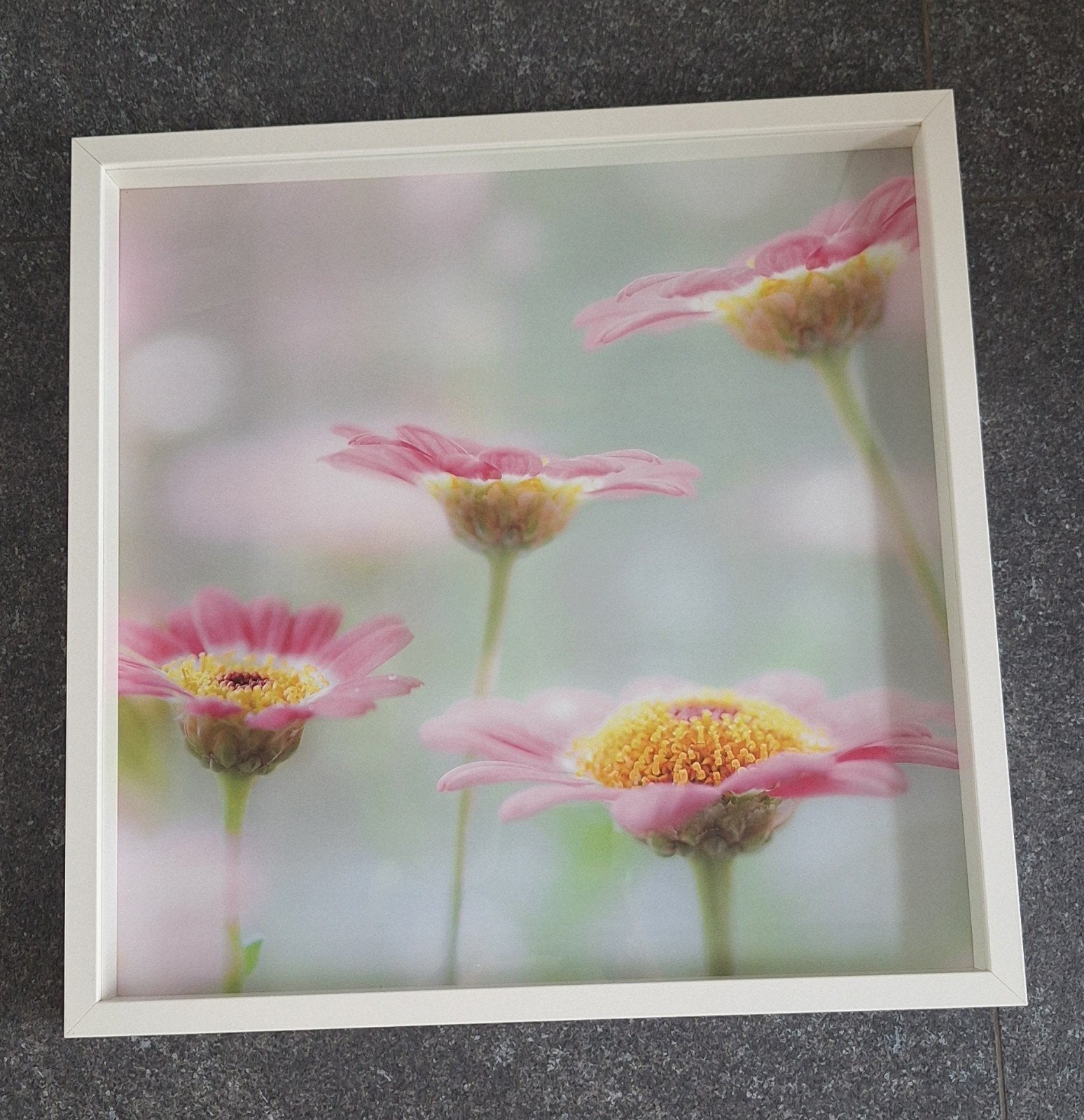 Kader Ribba Ikea met bloemen, Ophalen