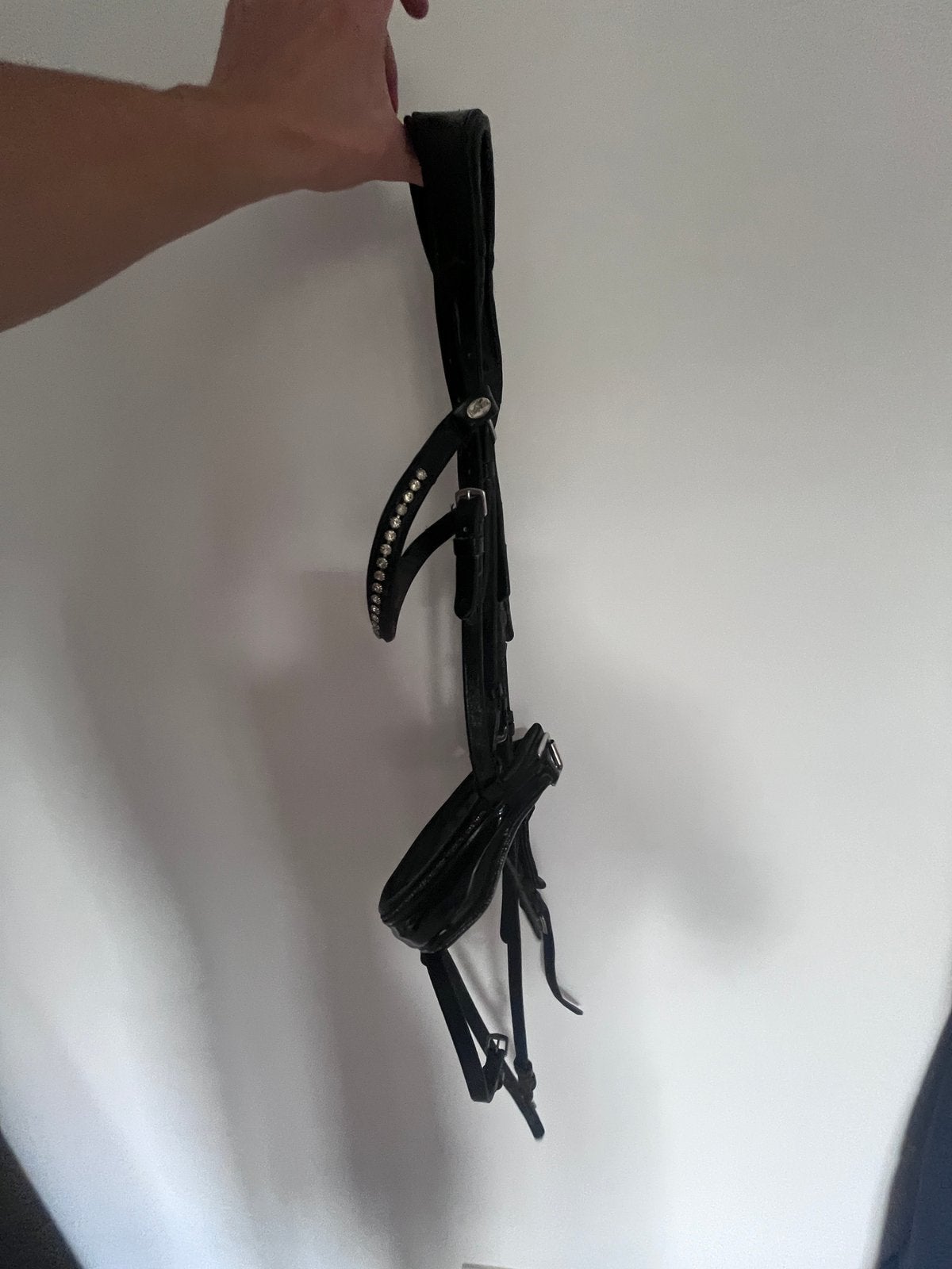 Dressuur kopstuk maat full, Ophalen, Zo goed als nieuw, Dressuur, Full