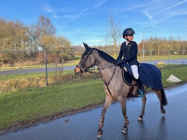c pony te koop, Dieren en Toebehoren, Pony's, Springpony, C pony (1.27m tot 1.37m), 11 jaar of ouder, Merrie