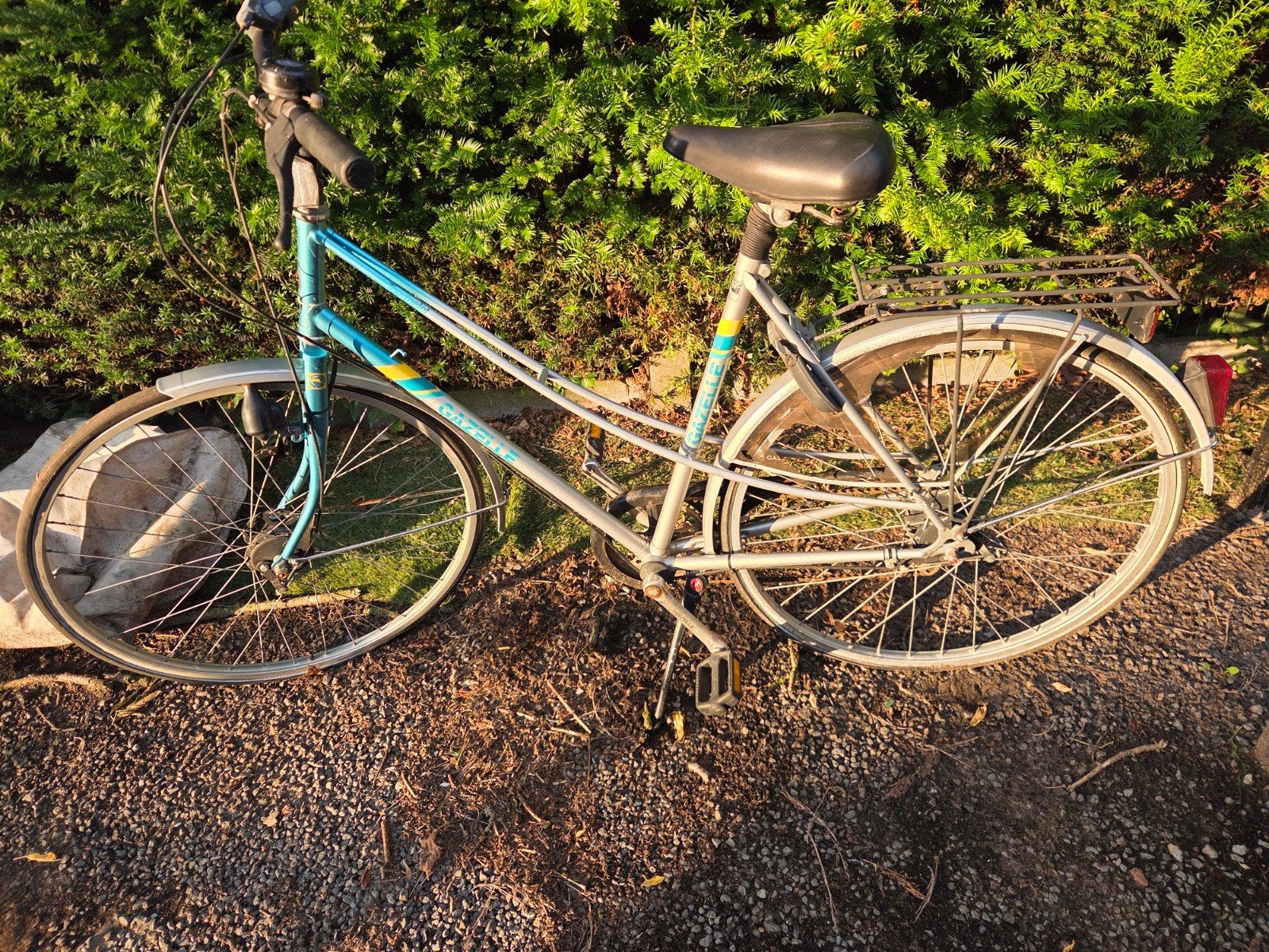 Damesfiets Gazelle, Enlèvement, Gazelle