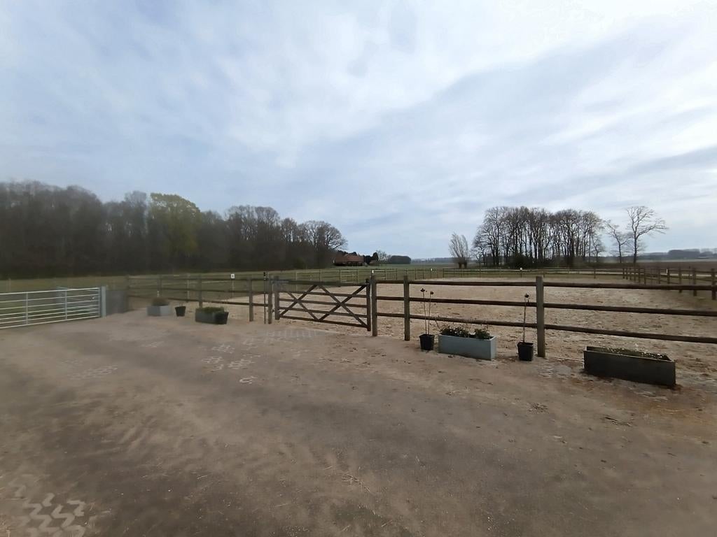 Jaarrond weidegang en stalling voor meerdere paarden, Dieren en Toebehoren, Weidegang, 4 paarden of pony's of meer