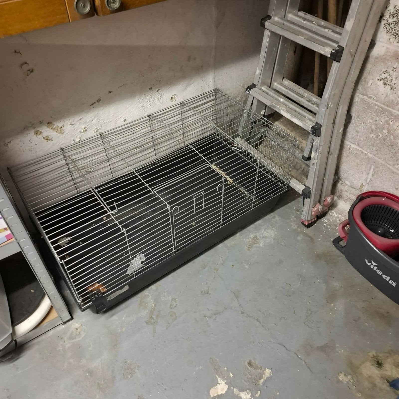 cage, Enlèvement, Cage, Lapin
