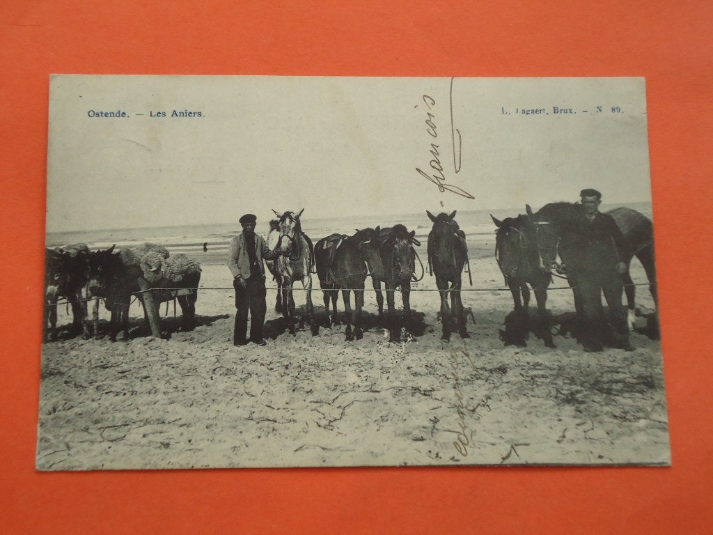 Oostende - Ostende Les Aniers L.L.B. 89, Verzamelen, Ophalen of Verzenden, Voor 1920, Gelopen, West-Vlaanderen