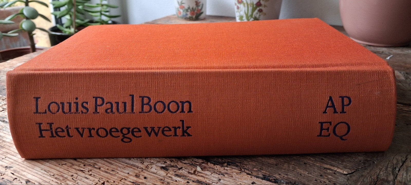 Louis Paul Boon, les premières œuvres, Livres, Enlèvement, Utilisé
