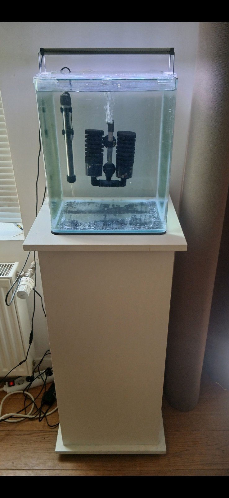 Aquarium denerle, Enlèvement