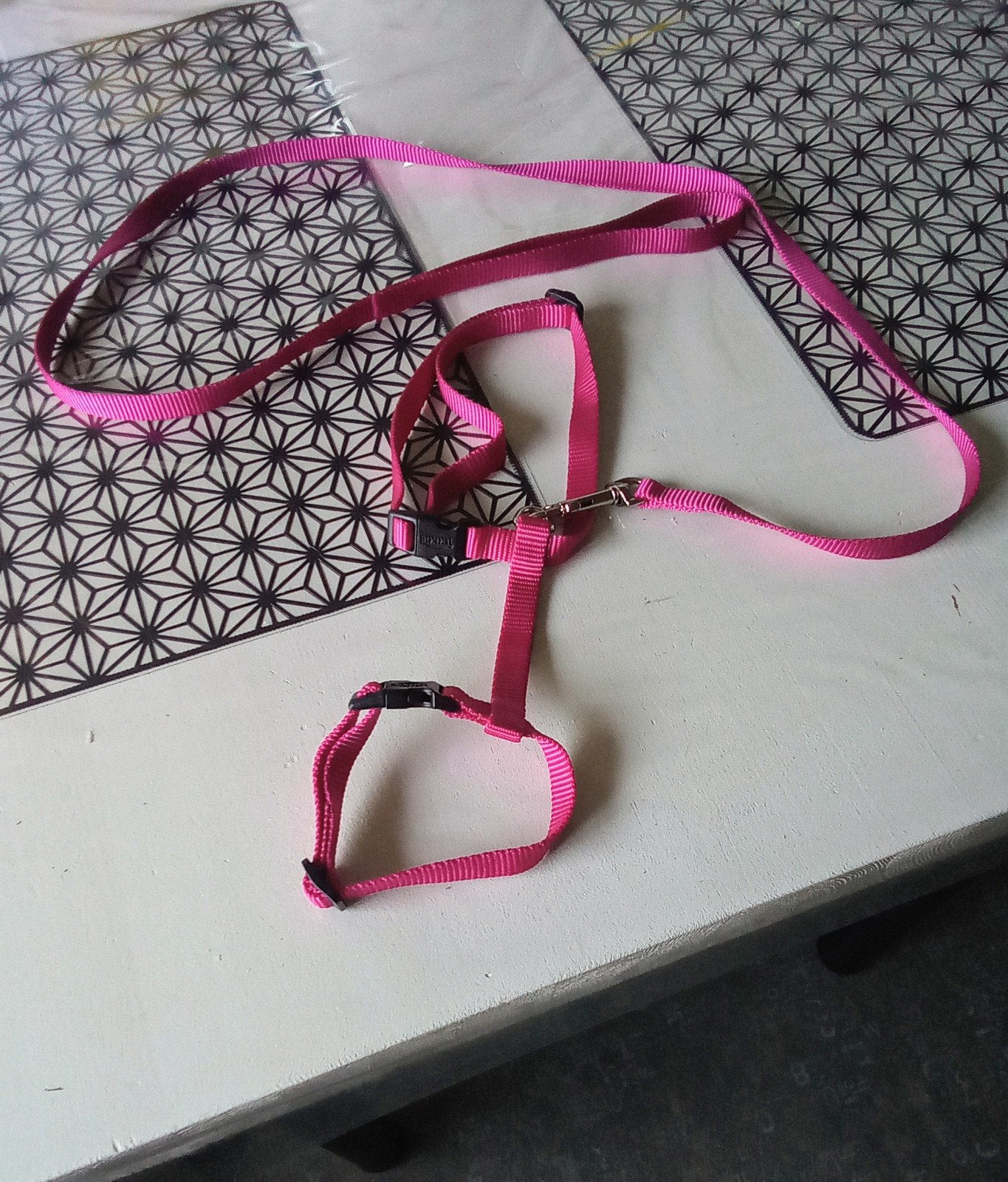 Harnais + laisse, Animaux & Accessoires, Enlèvement
