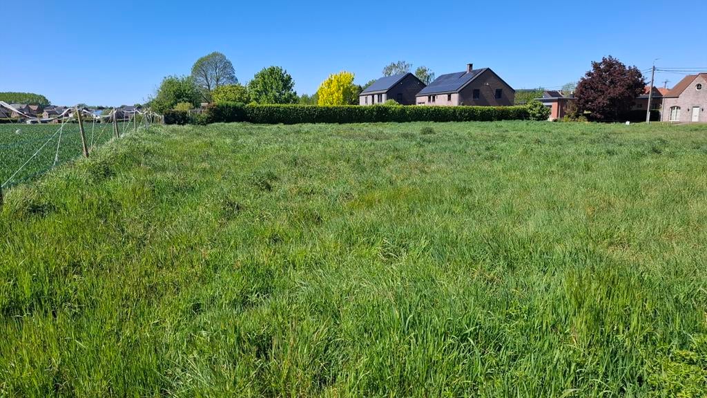 Pâturage sans foin 30acres