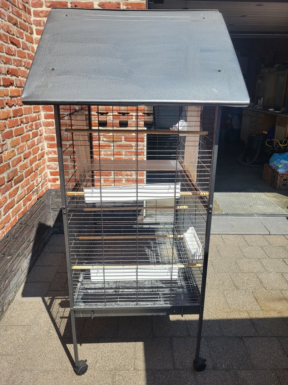 Vogelkooi / vogelvoilliere met assecoites, Dieren en Toebehoren, Ophalen