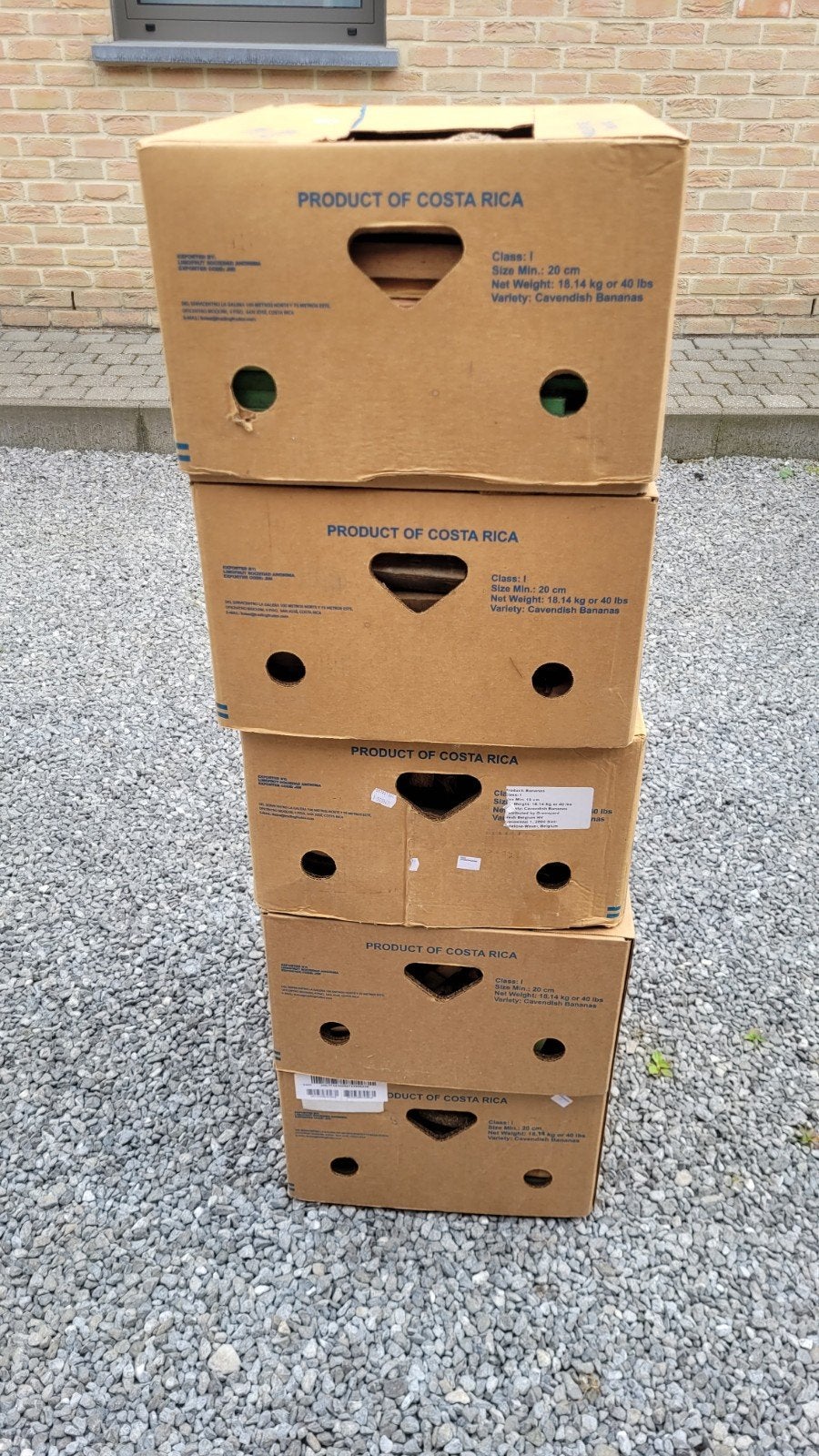 zuiver aanmaakhout, Enlèvement