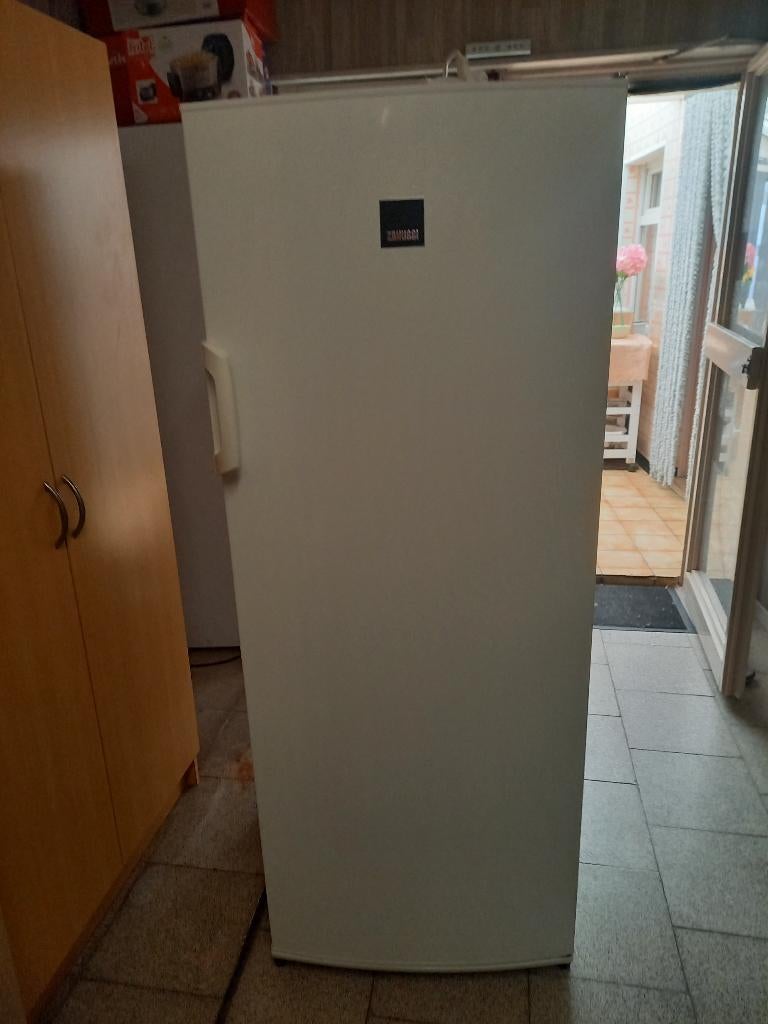 Koelkast, Elektronische apparatuur, Koelkasten en IJskasten, Ophalen, 200 liter of meer, 60 cm of meer, 140 tot 160 cm