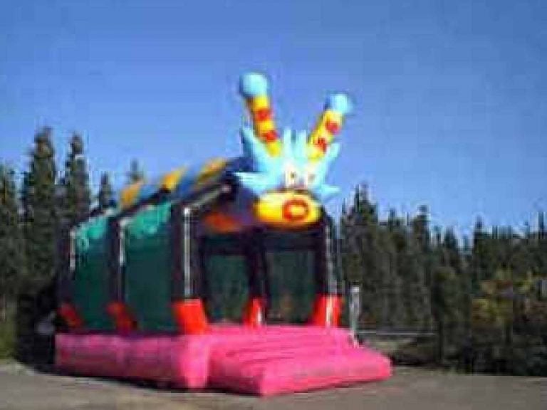 Château gonflable à vendre * OCCASION, Enlèvement, Utilisé, Article de fête
