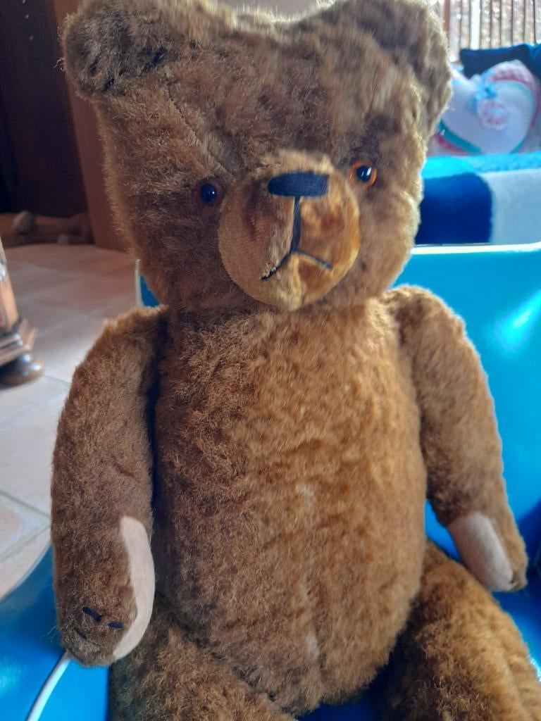 Oude beer, Enlèvement ou Envoi