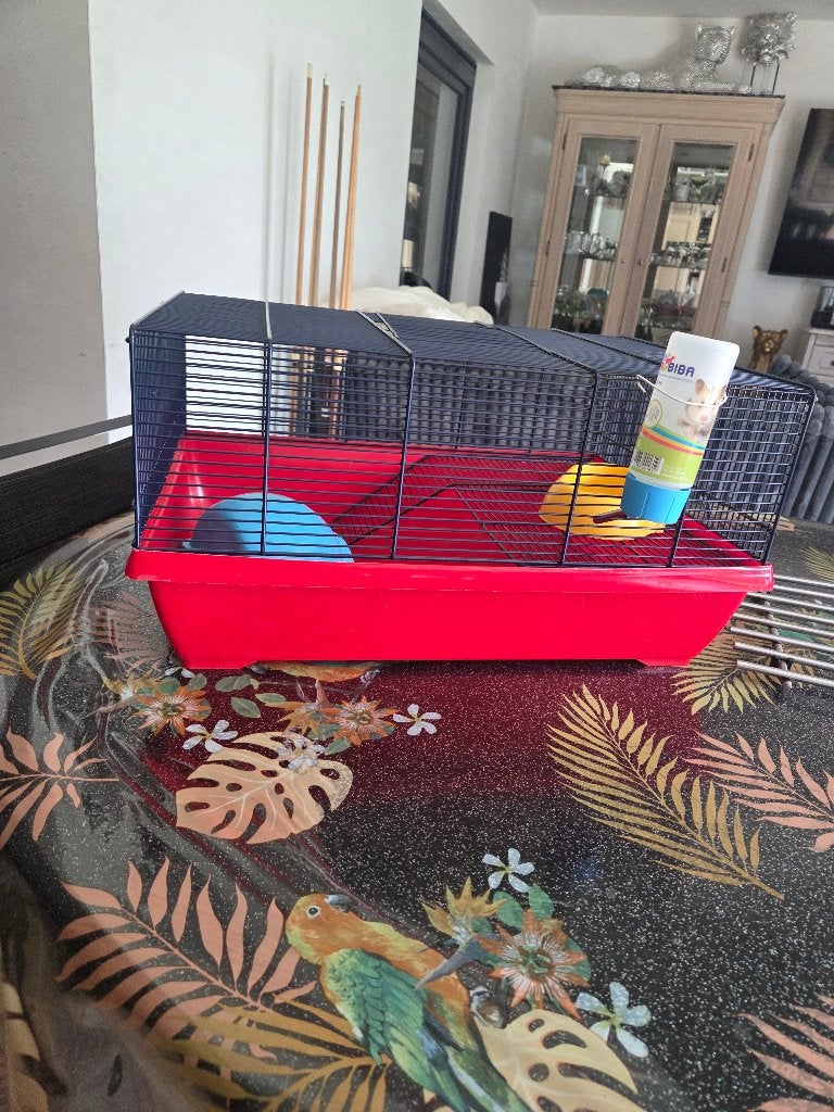 Cage à hamster avec accessoires, Enlèvement, Comme neuf, Cage, Hamster