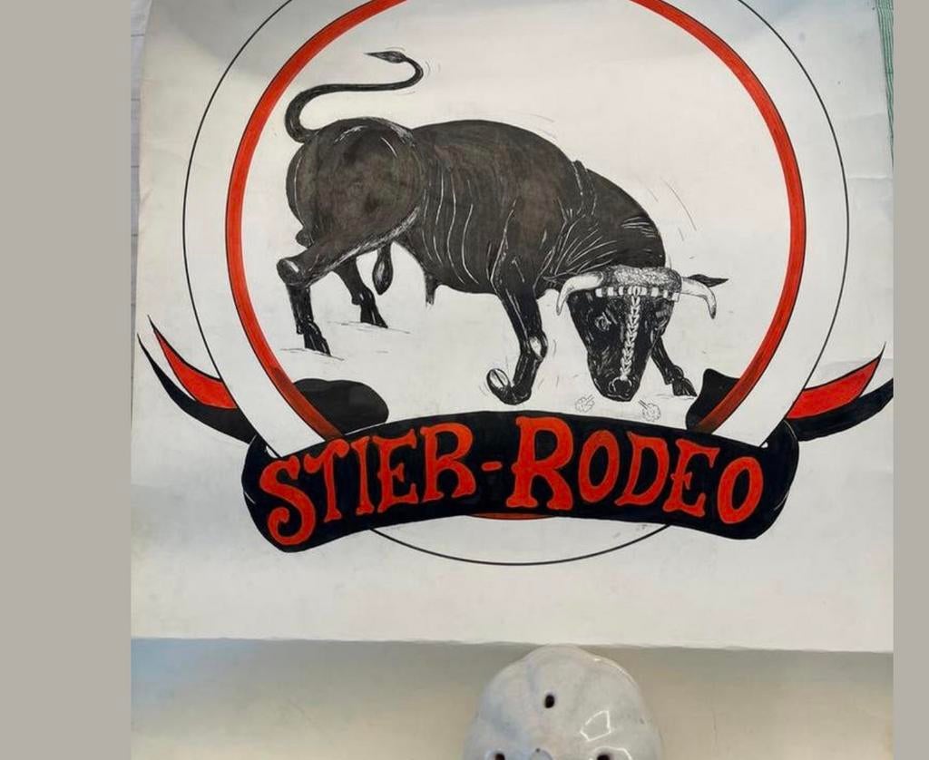 Uniek Vintage Ontwerp voor "Stier-Rodeo" Affiche, Enlèvement ou Envoi
