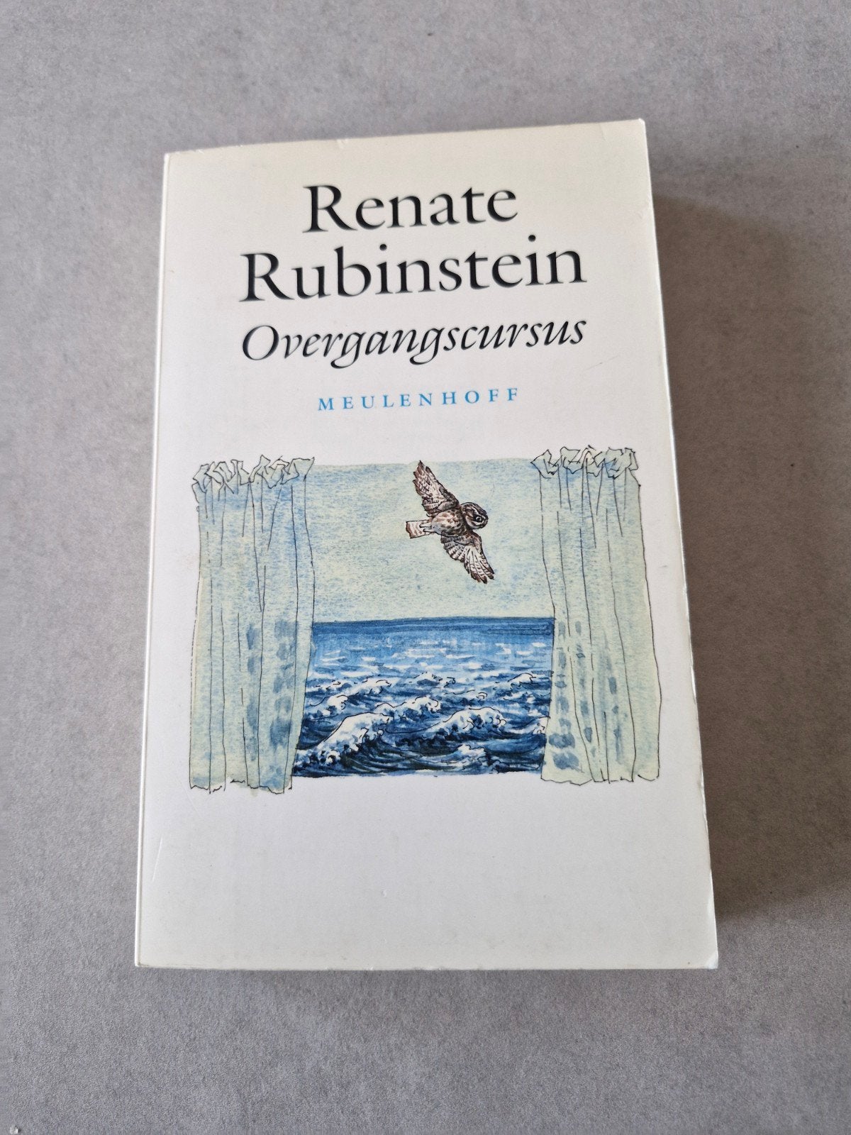 Overgangscursus - Renate Rubinstein, Livres, Essais, Chroniques & Interviews, Un auteur, Renate Rubinstein, Utilisé, Envoi