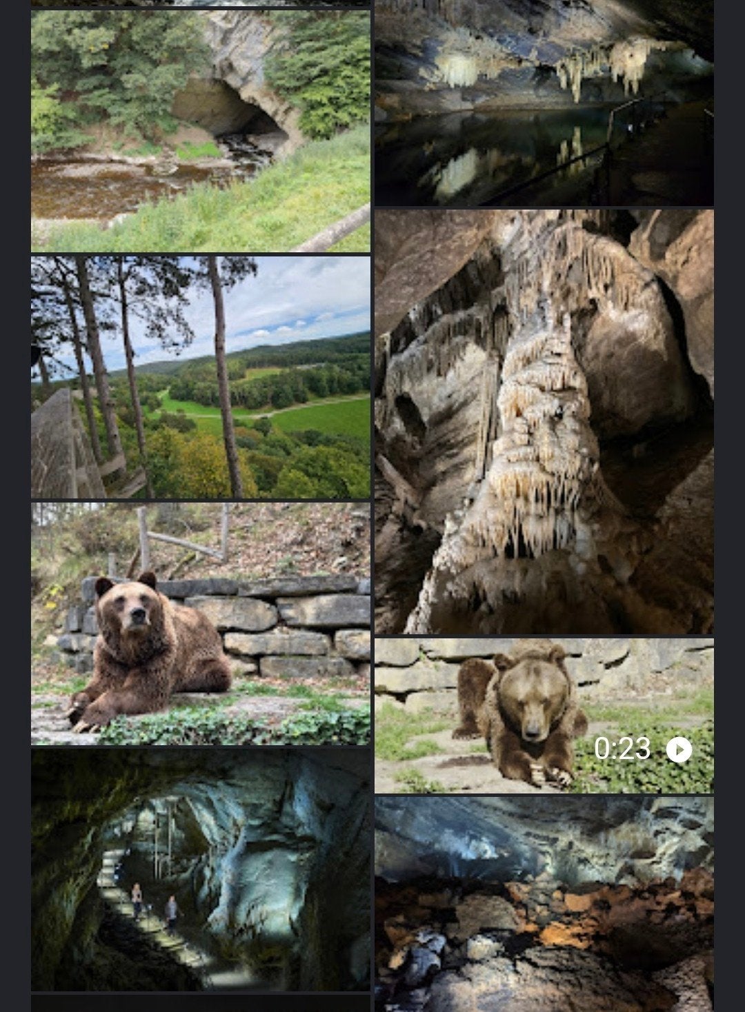 2 entrées adultes Grottes de Han+ safari, Tickets & Billets, Loisirs | Jardins zoologiques