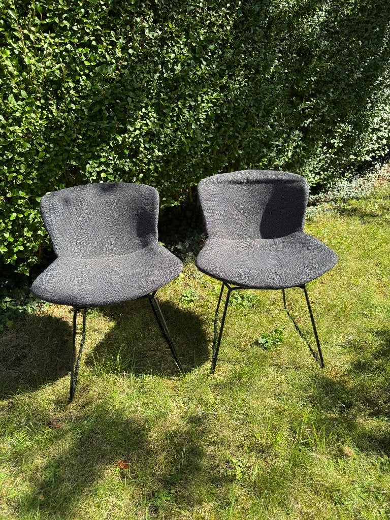 Paire de chaises Bertoia 420 Knoll vintage, Gris, Deux, Enlèvement, Utilisé