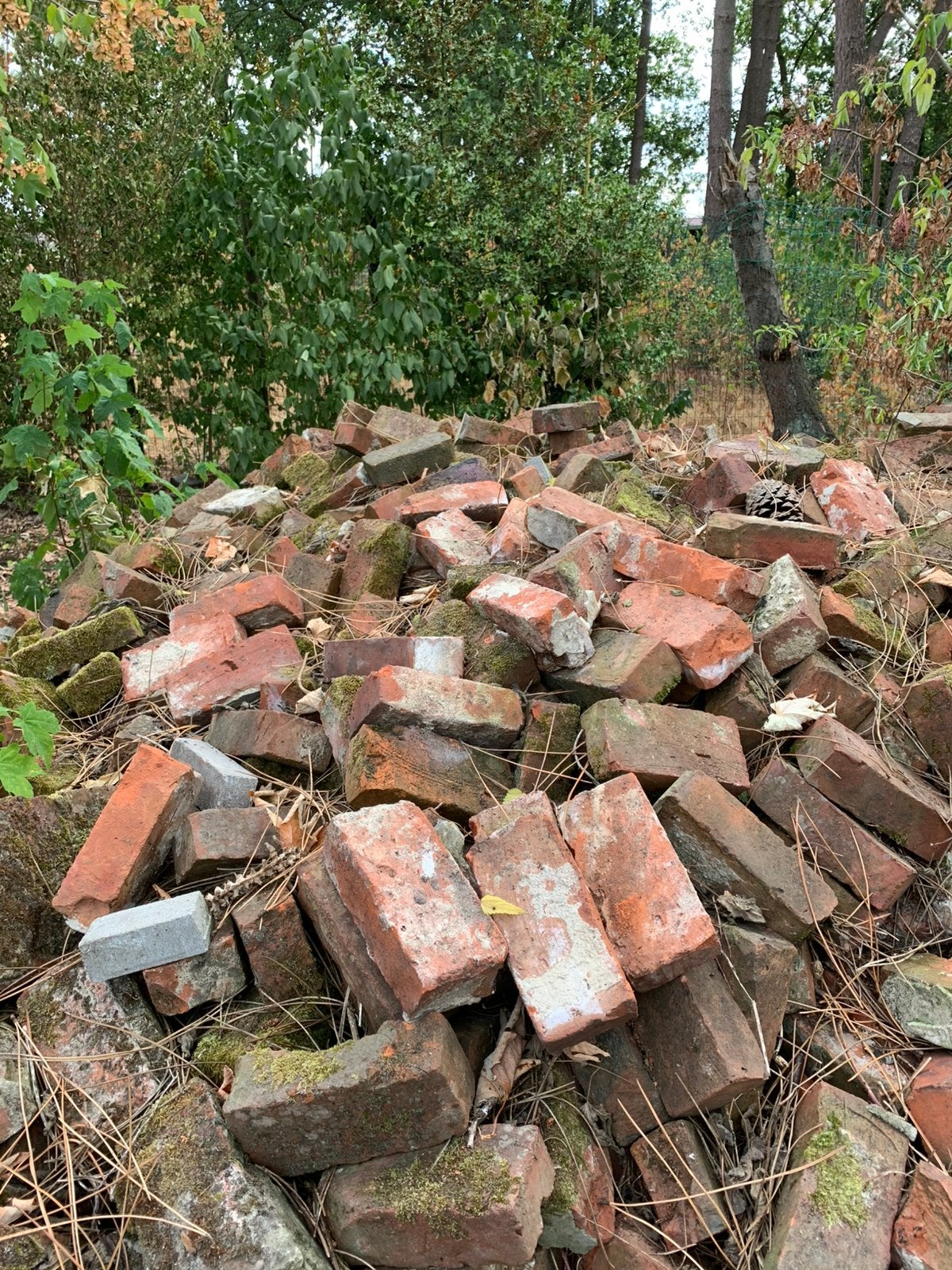 Oude stenen deels gekuist, Doe-het-zelf en Bouw, Ophalen, Gebruikt, Bakstenen