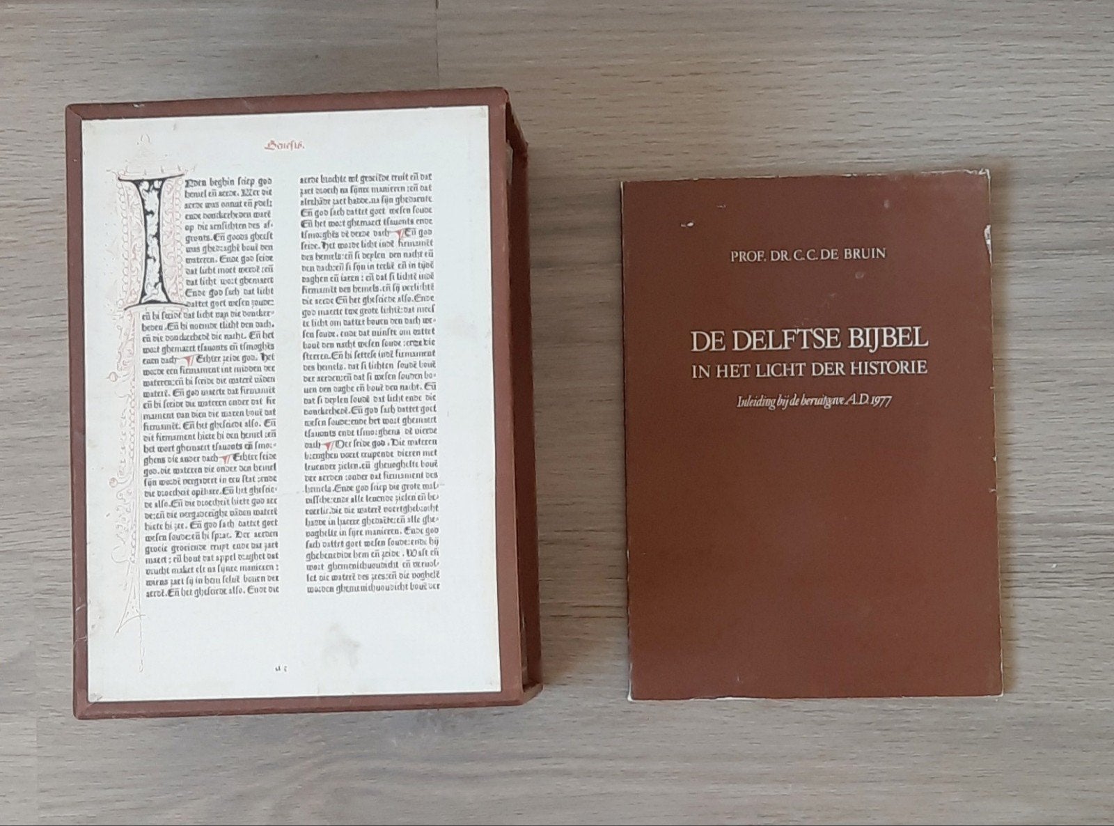 De Delftse Bijbel, Boeken, Godsdienst en Theologie, Ophalen of Verzenden, Gelezen