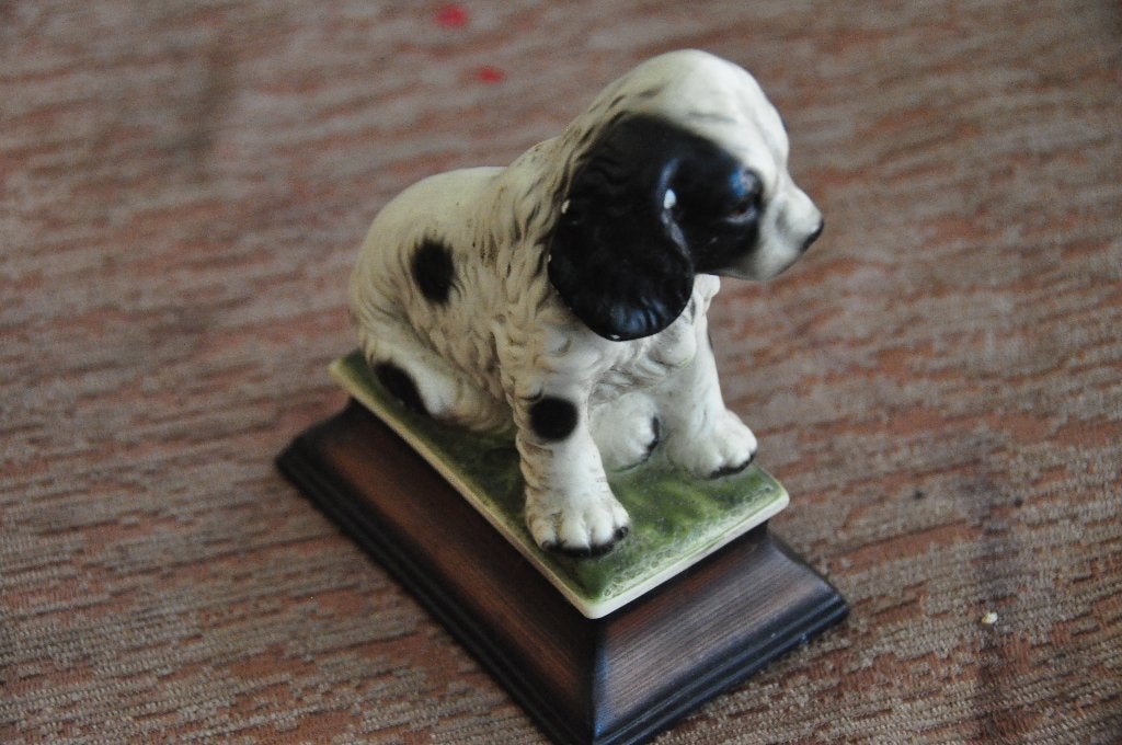 springer spaniel - hondje - Harvey Knox japan, Ophalen of Verzenden