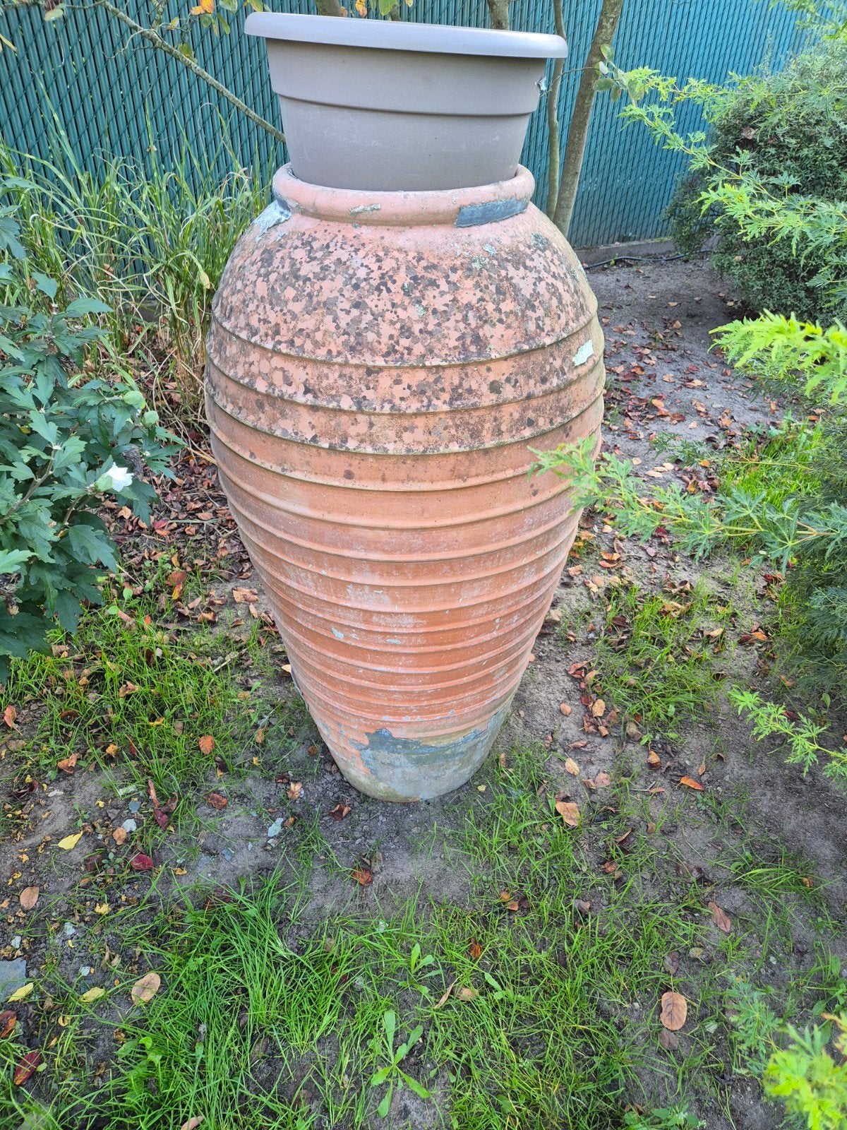 pots de fleurs, Jardin & Terrasse, Enlèvement