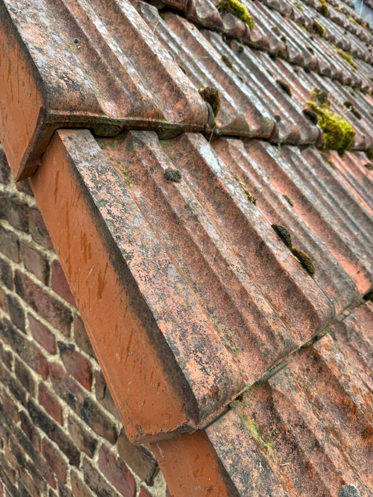 Te koop: 80 m² TTR dakpannen + nok- en gevelpannen – €400, Doe-het-zelf en Bouw, Dakpannen en Dakbedekking, Ophalen, Gebruikt