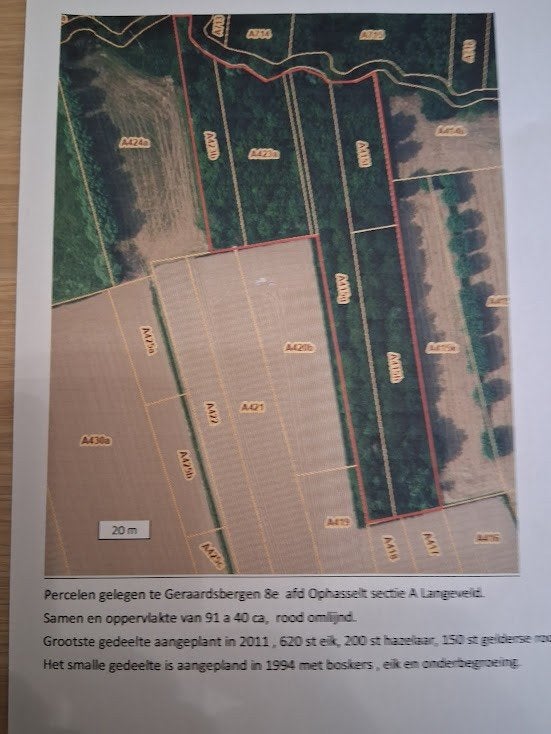 Perceel bos gelegen te Geraardsbergen / Ophasselt, 1500 m² ou plus