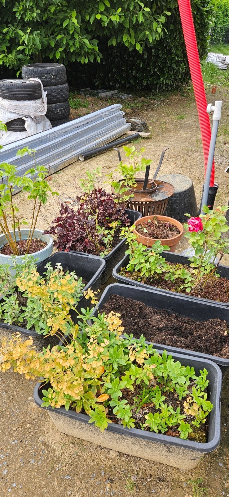 Bacs de plantes avec terreau, Jardin & Terrasse