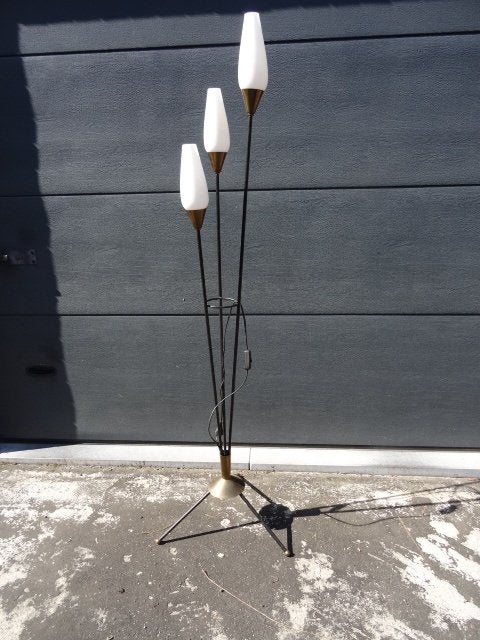 Oude „" Roseau "” vloerlamp op voet - opaline lampen -1950's, Ophalen, Lamp