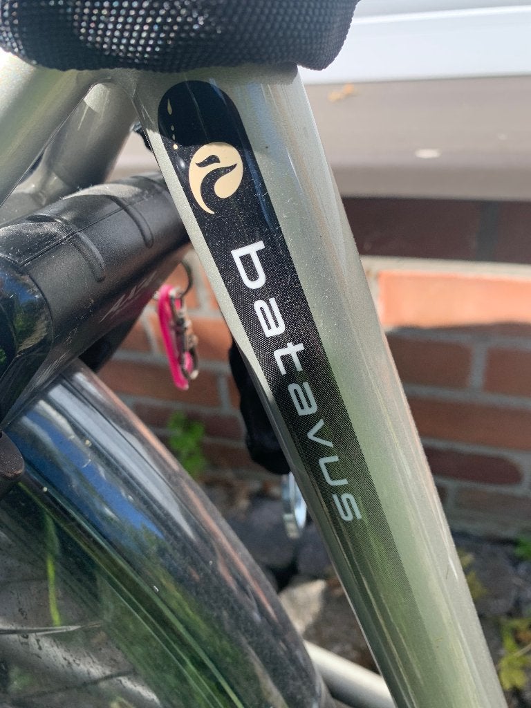 Vélo électrique BATAVUS E-Go Vélo électrique, Enlèvement, Batavus