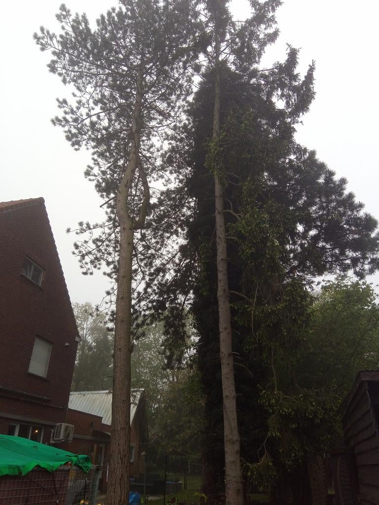Brandhout den., Tuin en Terras, Ophalen