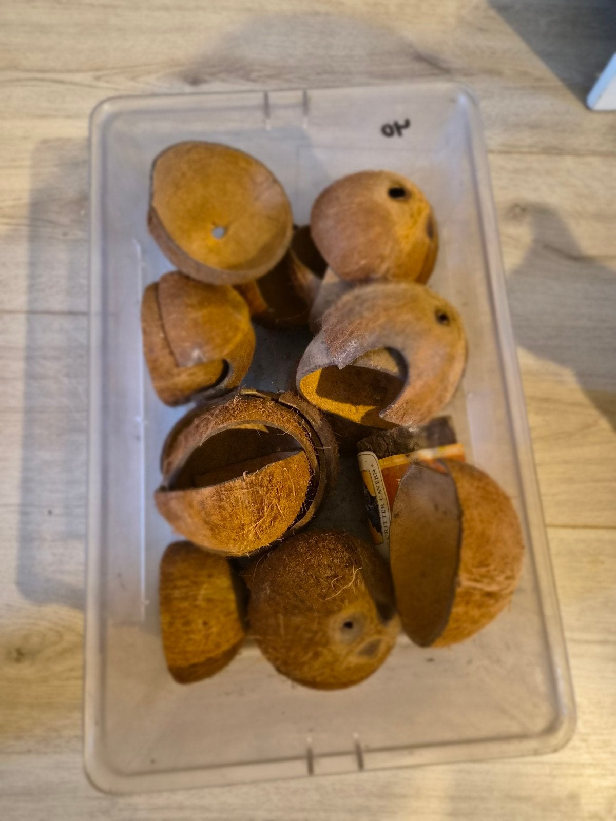 Knaagdieren huisje