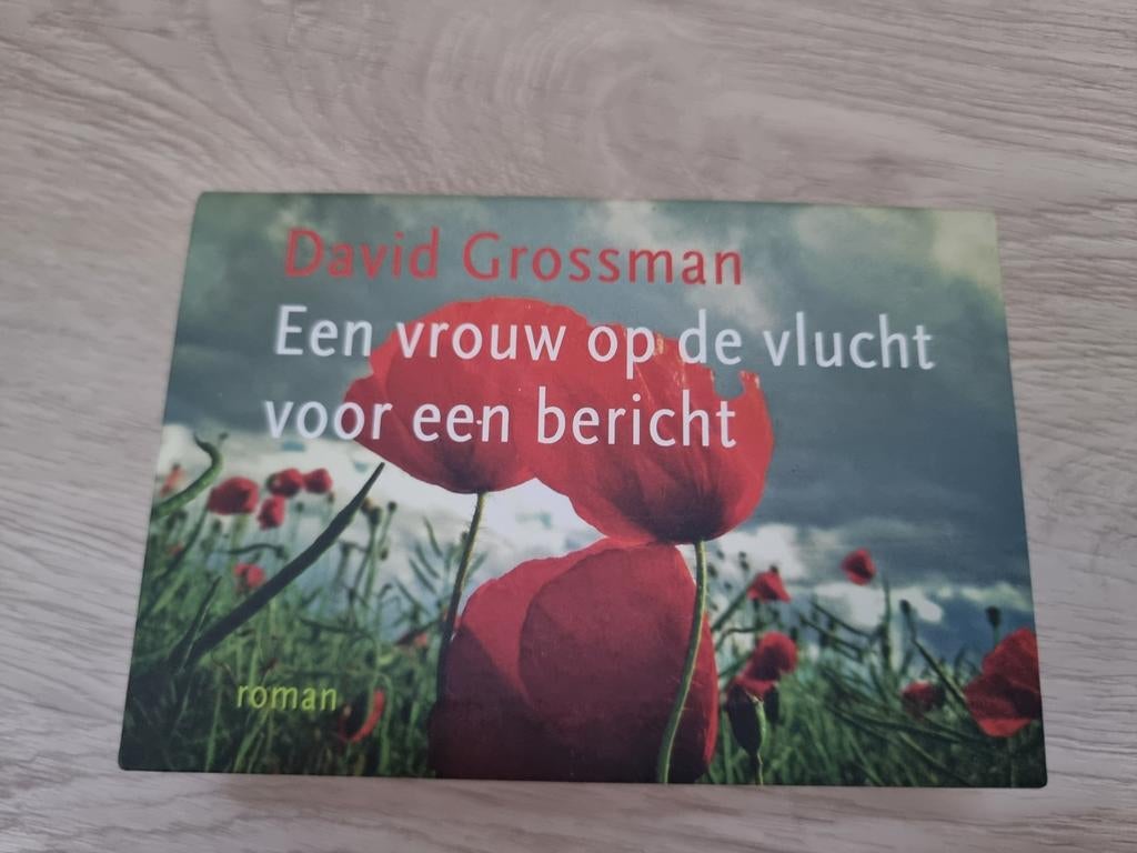 David Grossman - Een vrouw op de vlucht voor een bericht, Ophalen of Verzenden, David Grossman