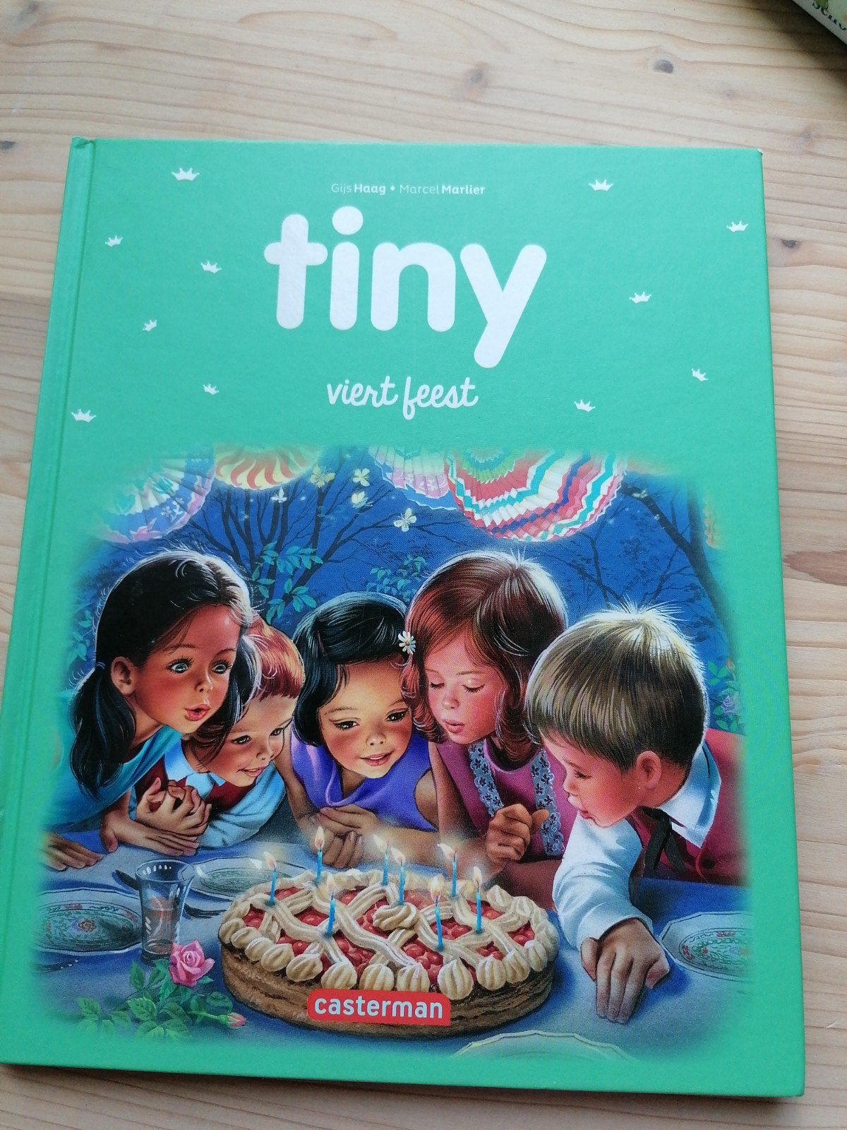 Tiny viert feest - 5 verhalen, Boeken, Ophalen, Gijs Haag