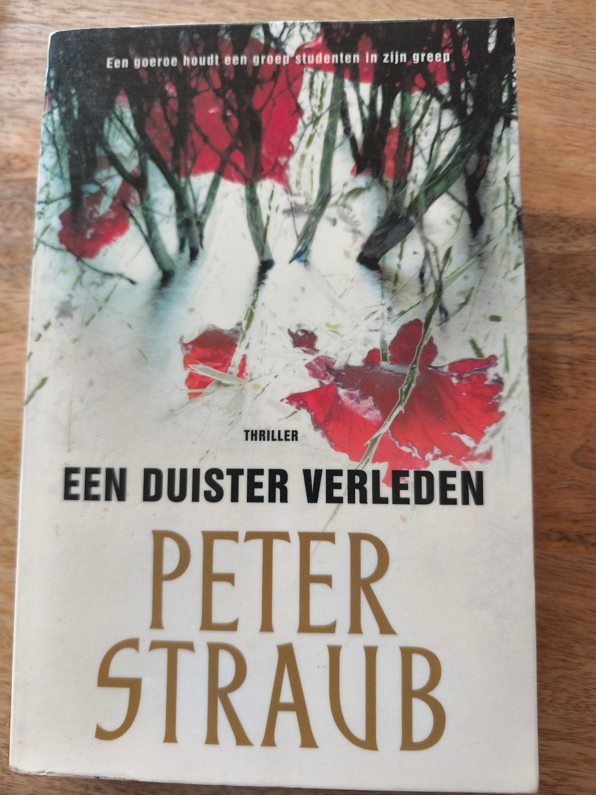 Peter Straub - Een duister verleden, Boeken, Ophalen of Verzenden, Peter Straub